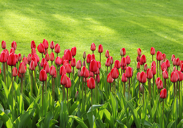 Projects Projects 08